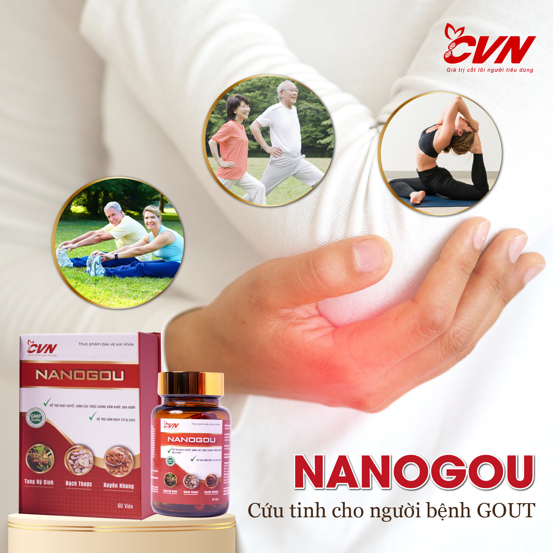 nanogou 2